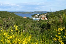 Blick über die Fauna zu einem Dorf an einer Bucht auf der Insel Dugi Otok